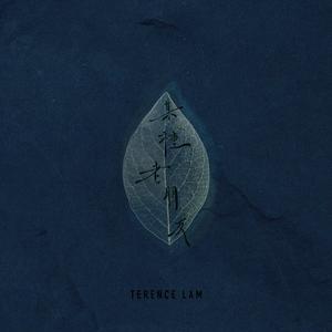 一级毛片黑寡妇
